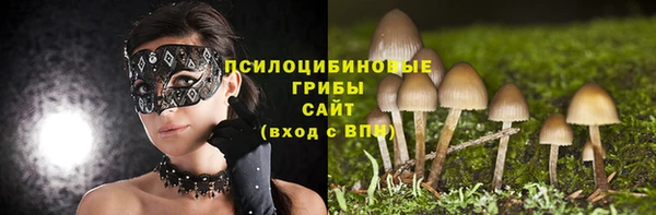 МДМА Заводоуковск