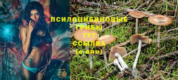 гашик Заволжье