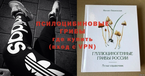 МДМА Заводоуковск