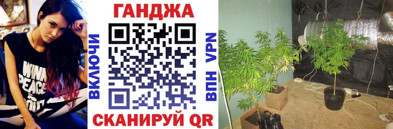 Купить Ершов МАРИХУАНА Amnesia